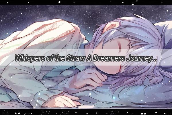 Whispers of the Straw A Dreamers Journey in the Fields of Faith and Mystery